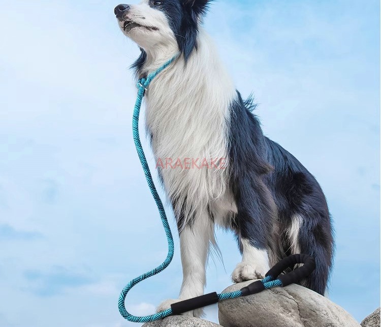 Pet Supplies Young - P rope explosion-proof walking dog traction