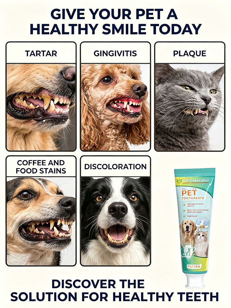 POZOAMIS Pet Teeth Cleaning To - Pet Supplies Young review and price