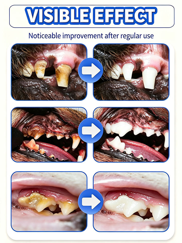 POZOAMIS Pet Teeth Cleaning To - Pet Supplies Young review and price