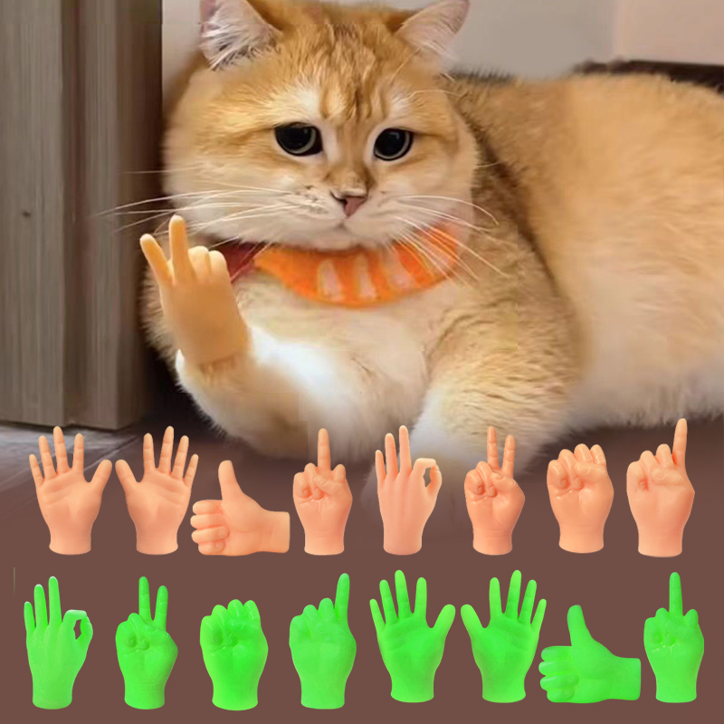 Creative Cat Interactive Funny - Interactive Cat Toy review and price