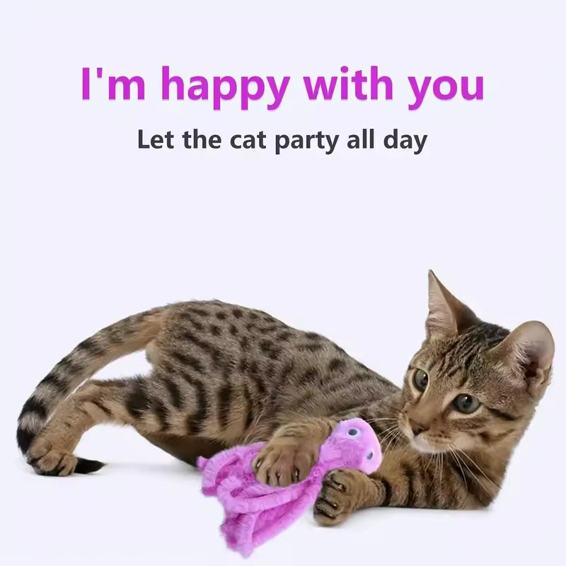 Cute octopus cat toys for kitt - Pet Supplies Young review and price