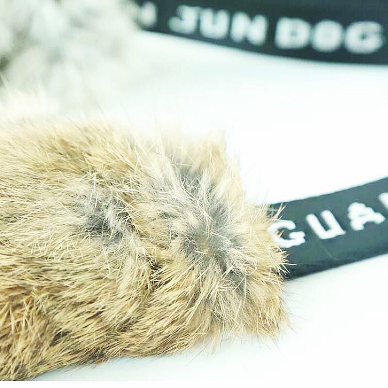 High-Quality Rabbit Skin Dog B - Pet Supplies Young review and price