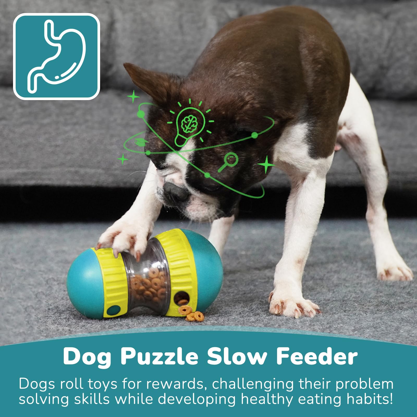 Dog Toys & Adjustable Slow Fee - Dog Treat Puzzle Toy review and price