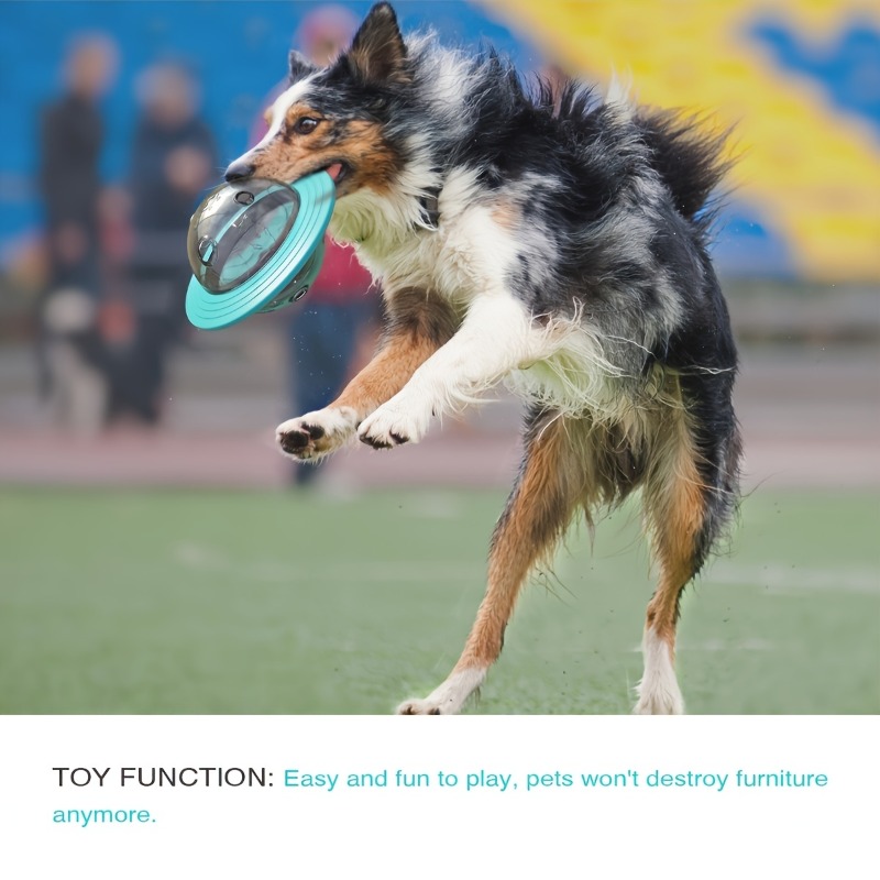 Interactive Design Dog Ball To - Dog Treat Puzzle Toy review and price