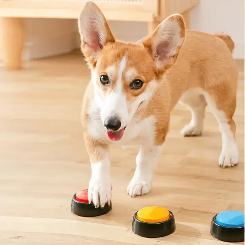 2026 Recordable Talking Pet Bu - Interactive Cat Toy review and price