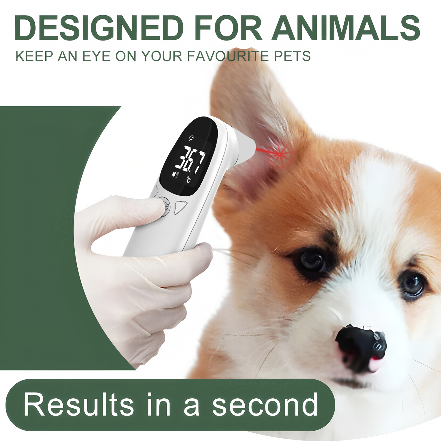 Pet Ear Digital Thermometer No - Pet Supplies Warehouse review and price