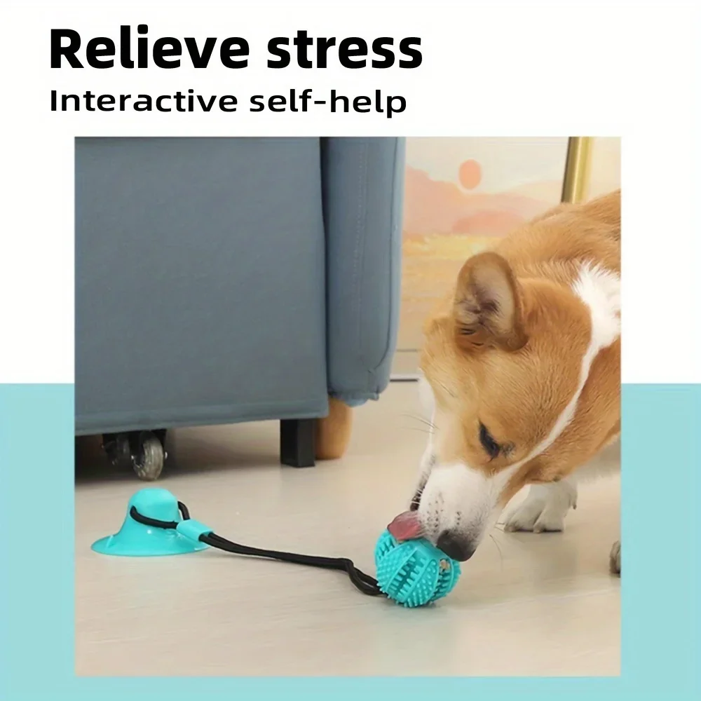 Interactive Dog Suction Cup To - Dog Treat Puzzle Toy review and price