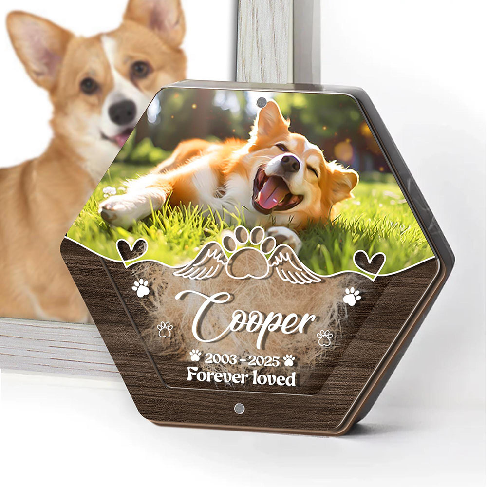 Personalized Name Wooden Carvi - Pet Supplies Warehouse review and price