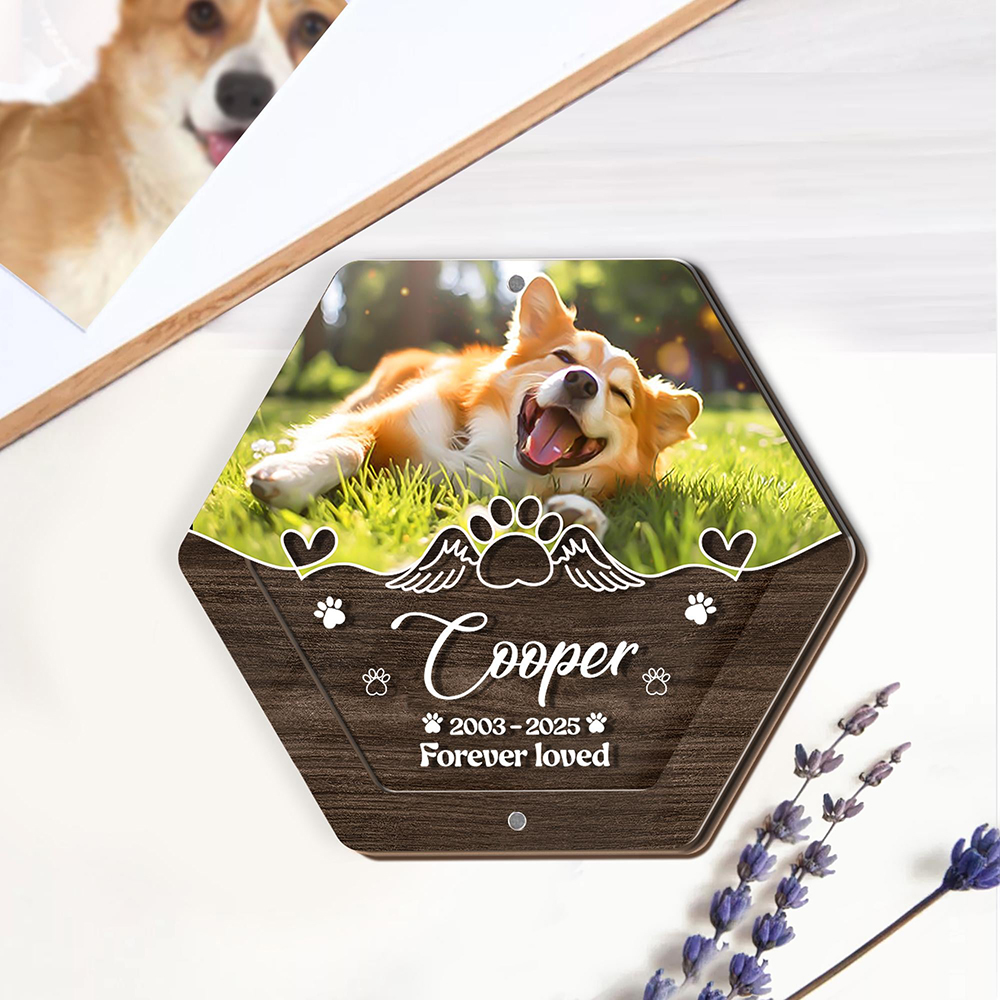 Personalized Name Wooden Carvi - Pet Supplies Warehouse review and price