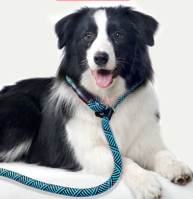 P rope explosion-proof walking - Pet Supplies Young review and price