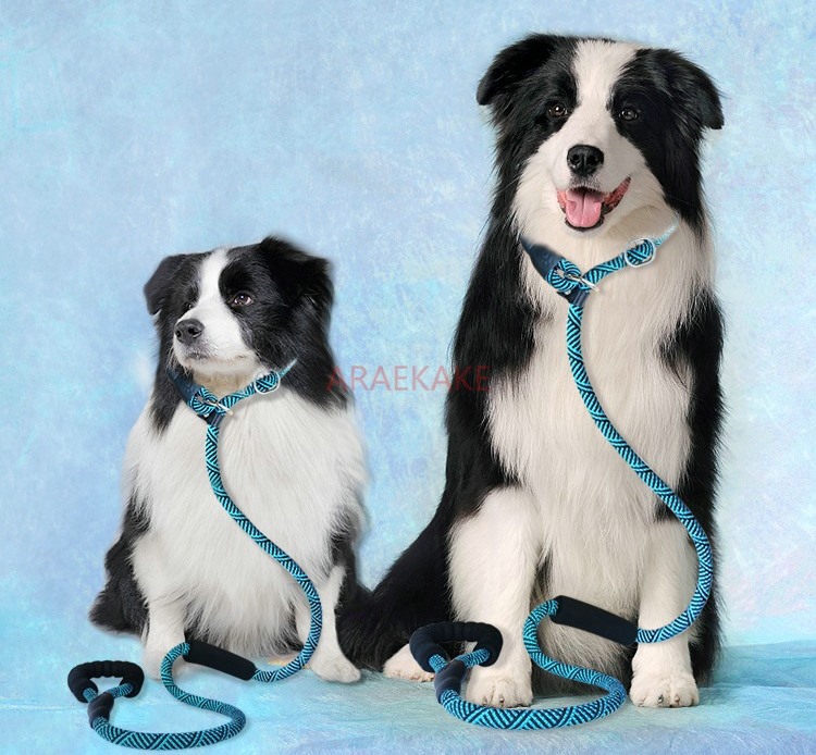 P rope explosion-proof walking - Pet Supplies Young review and price