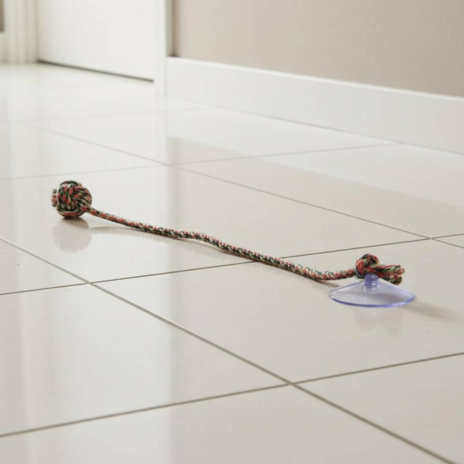 Suction Disc Dog Toy Gnaw Resi - Pet Supplies Young review and price
