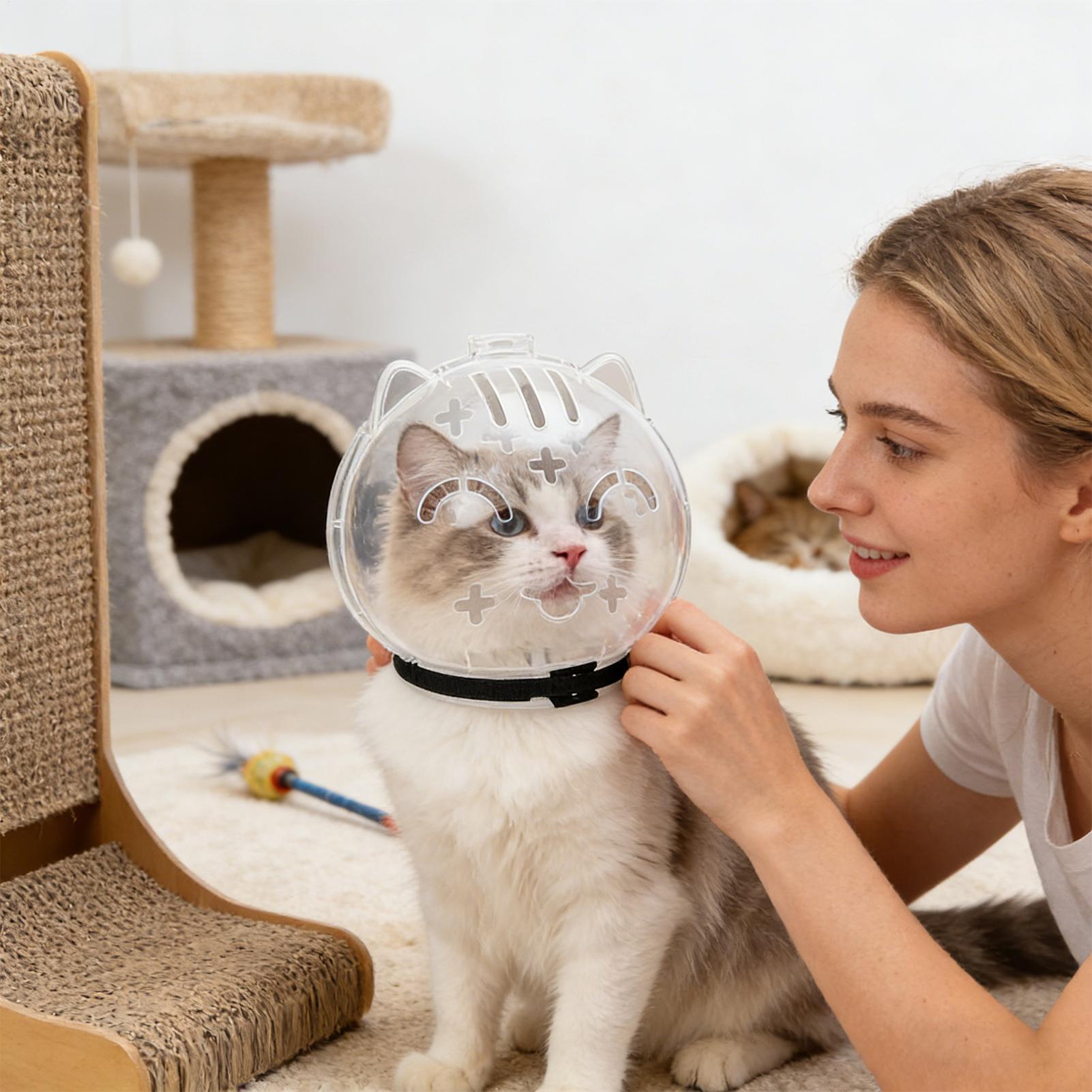 Breathable Cat Muzzle Transpar - Pet Supplies Young review and price