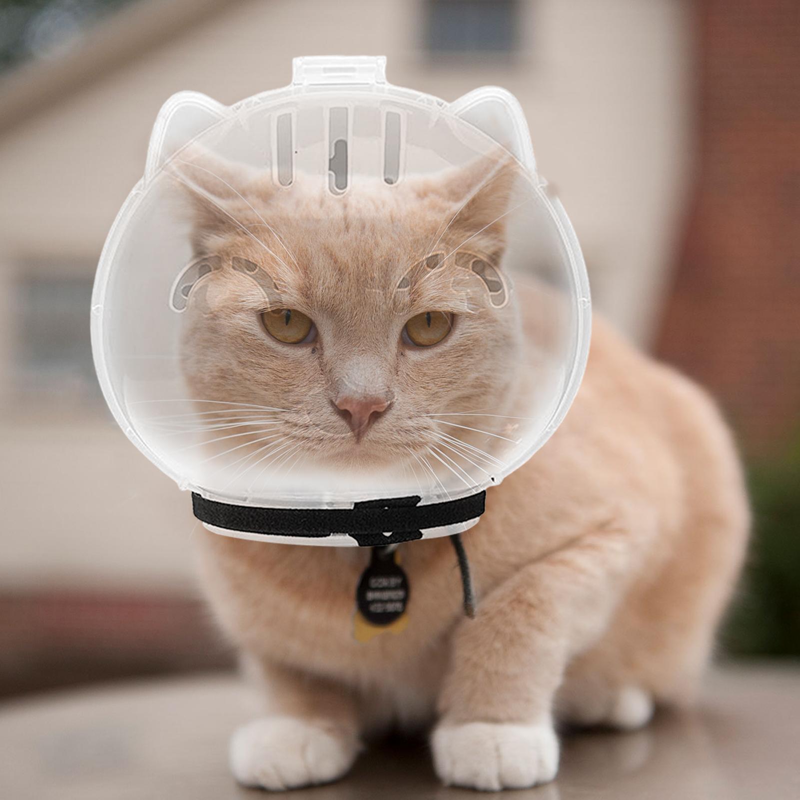 Breathable Cat Muzzle Transpar - Pet Supplies Young review and price